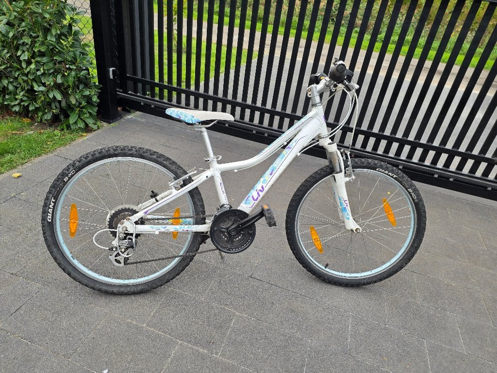 Giant liv fiets kids 8-13 jaar, Fietsen en Brommers, Ophalen, Gebruikt, Staal, Velgrem