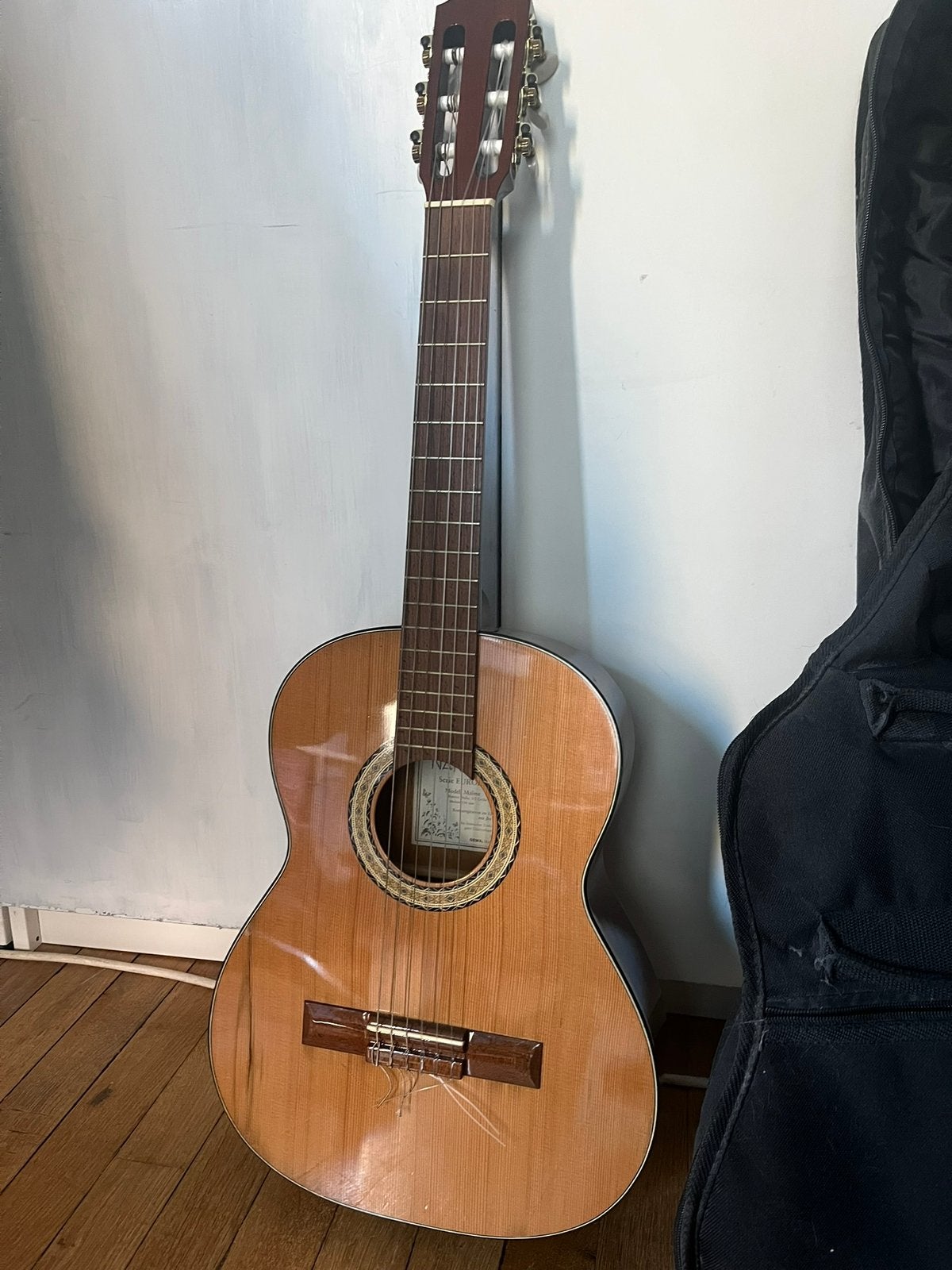 Guitare Pro Natura, Musique & Instruments, Enlèvement ou Envoi, Utilisé, Guitare classique ou espagnole, Avec valise