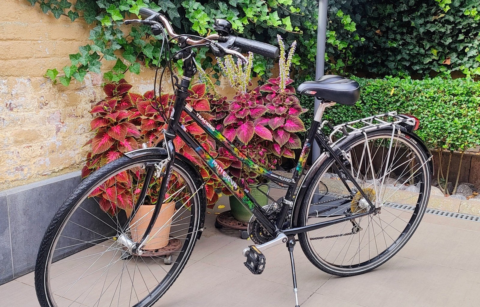 Kotfiets/Damesfiets Minerva Tracking, Autres marques, Vitesses, Frein sur jante, Enlèvement
