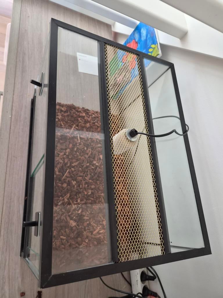 Terrarium, Ophalen
