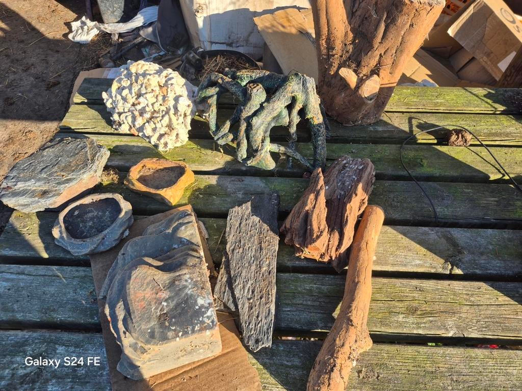 Terrarium benodigheden, Dieren en Toebehoren, Ophalen, Gebruikt, Tak, Plant, Rots of Steen