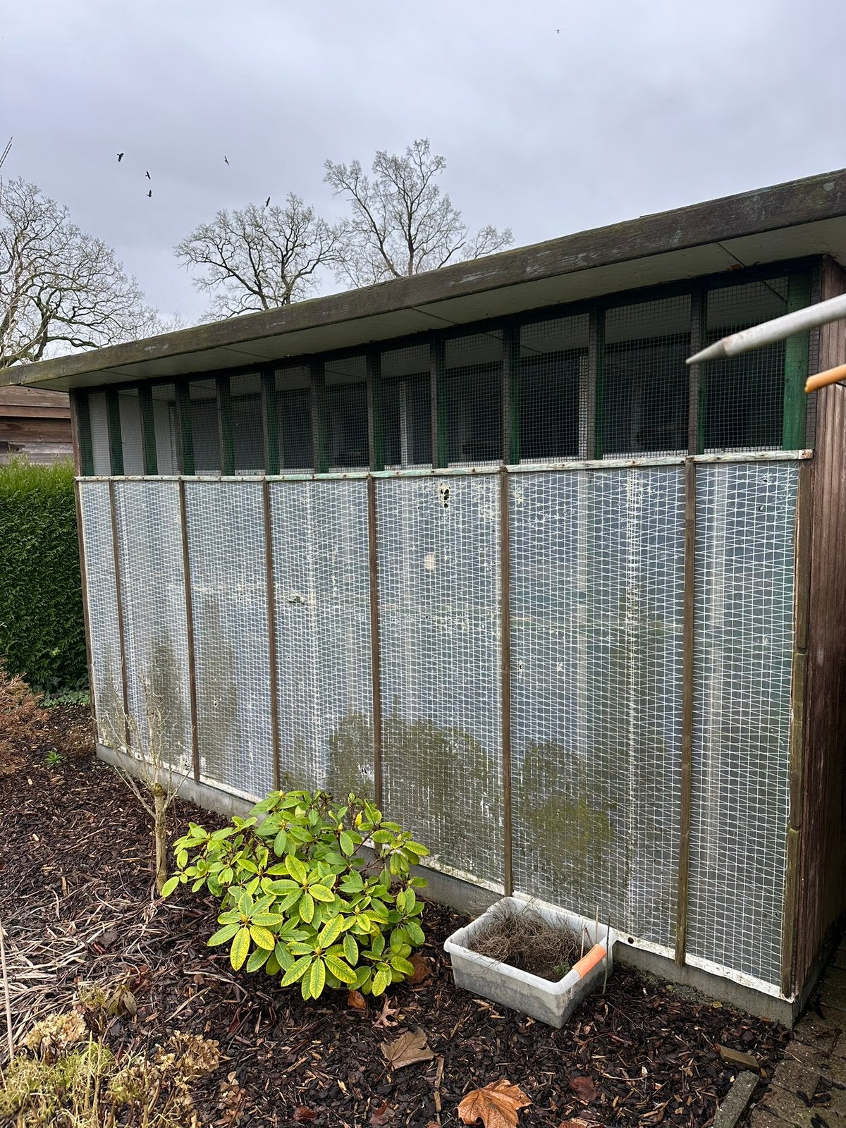 Voliere, Tuin en Terras, Ophalen, Gebruikt