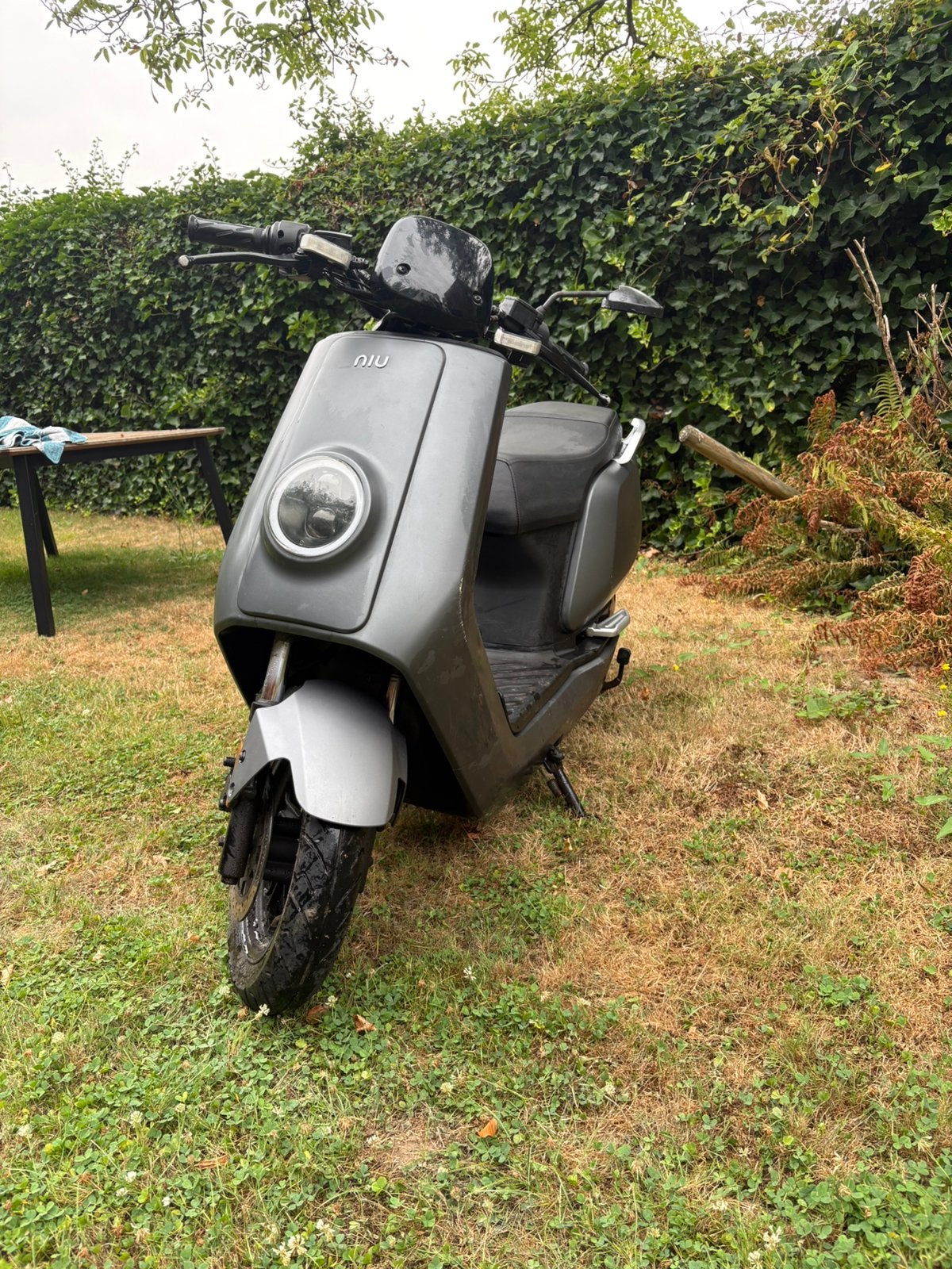 Niu scooter, Fietsen en Brommers, Gebruikt, Elektrisch, Ophalen, Overige merken