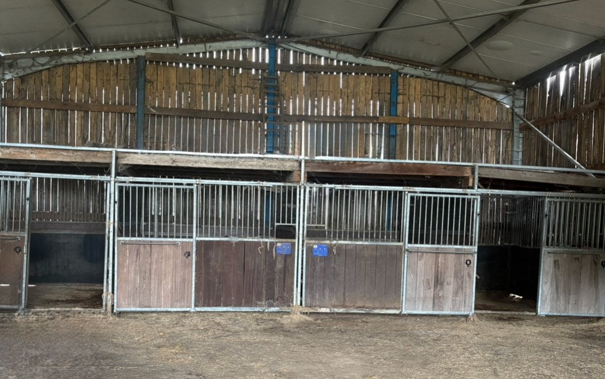 4 lege stallen beschikbaar in Waarschoot vanaf 19/10, Mise à l'étable