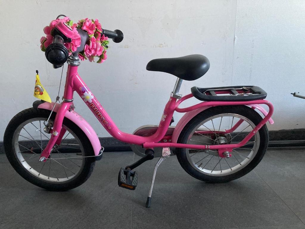 Kinderfiets Puky 16 inch, Enlèvement, Utilisé, 16 à 20 pouces, Puky