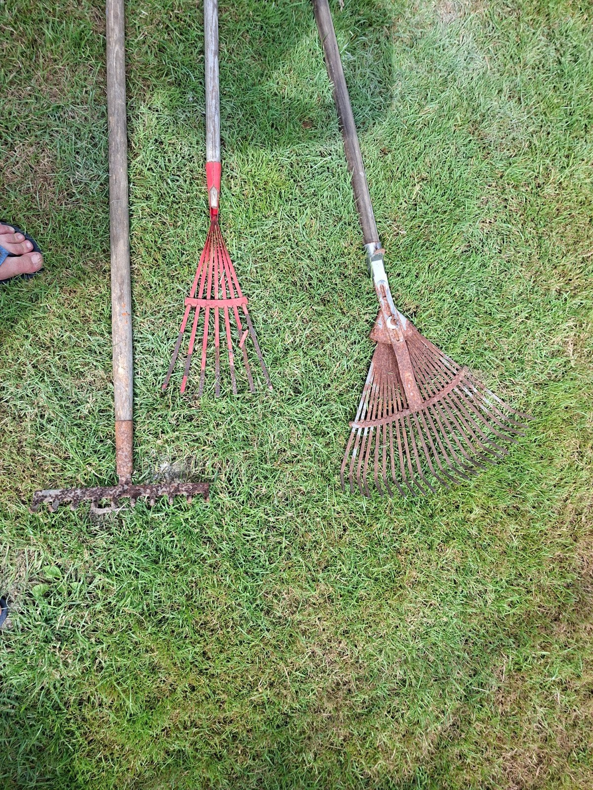 3 râteau, Jardin & Terrasse, Outils à main, Enlèvement, Utilisé, Râteau