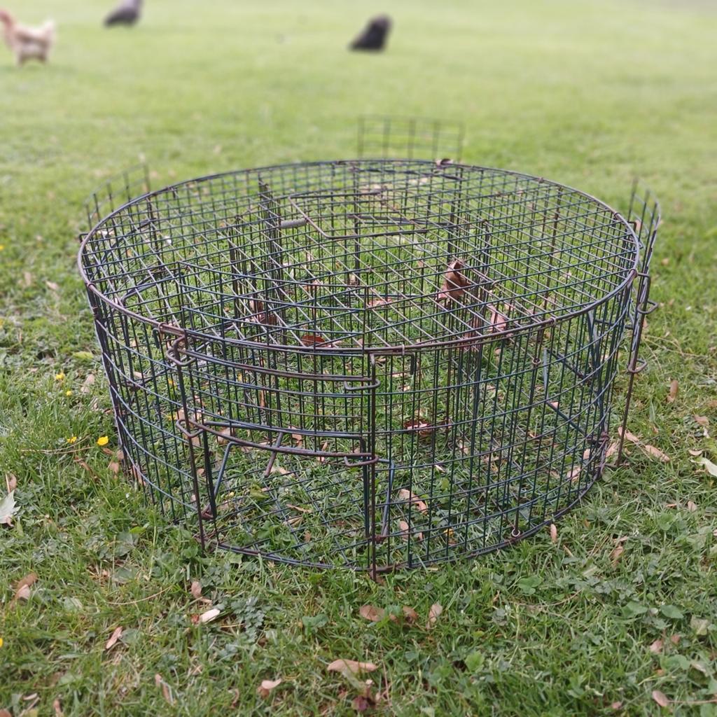 Cage piège à pies métallique
