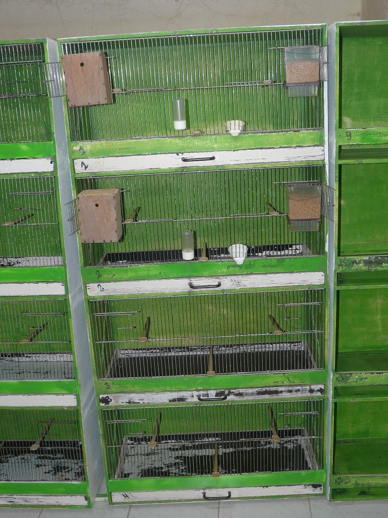 Vogelkooien en toebehoren enz.., Dieren en Toebehoren, Ophalen, Gebruikt, Hout, Overige typen