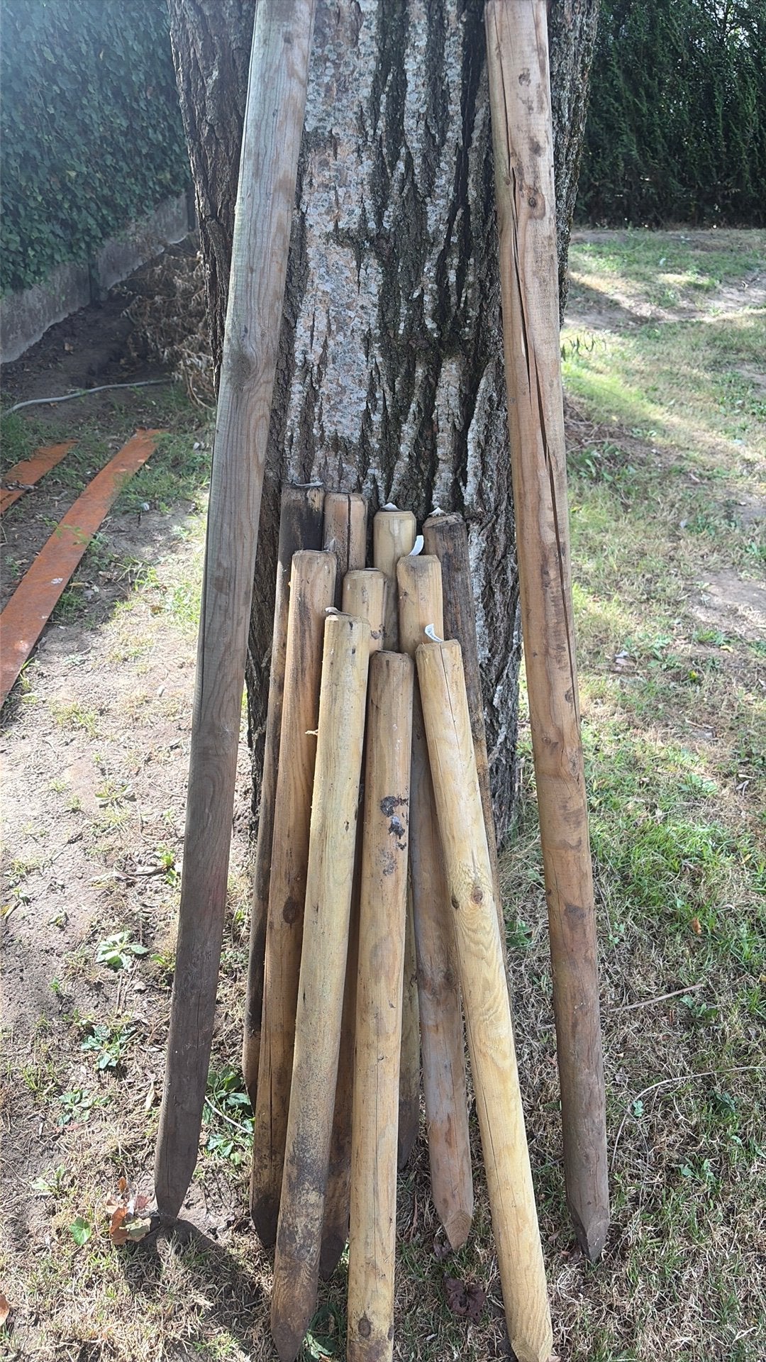 10 1m palen en 2 1.6m paal, Ophalen, Zo goed als nieuw, Palen