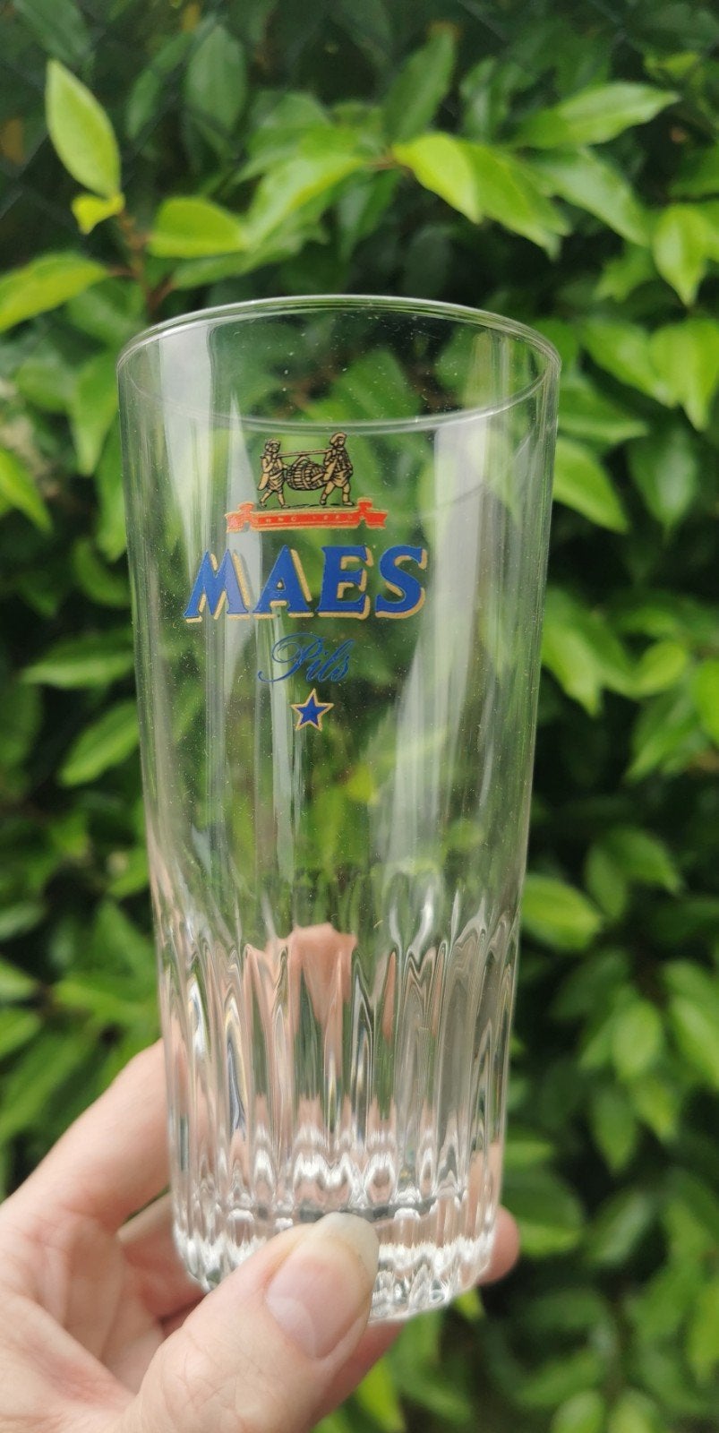 Verre Maes pils 33cl, Collections, Enlèvement, Comme neuf, Verre à bière