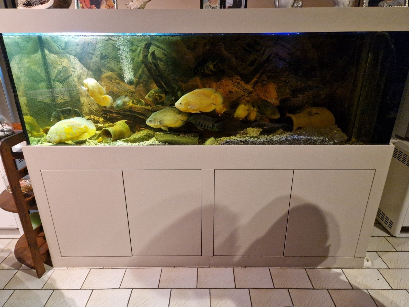 aquarium, Ophalen, Pomp