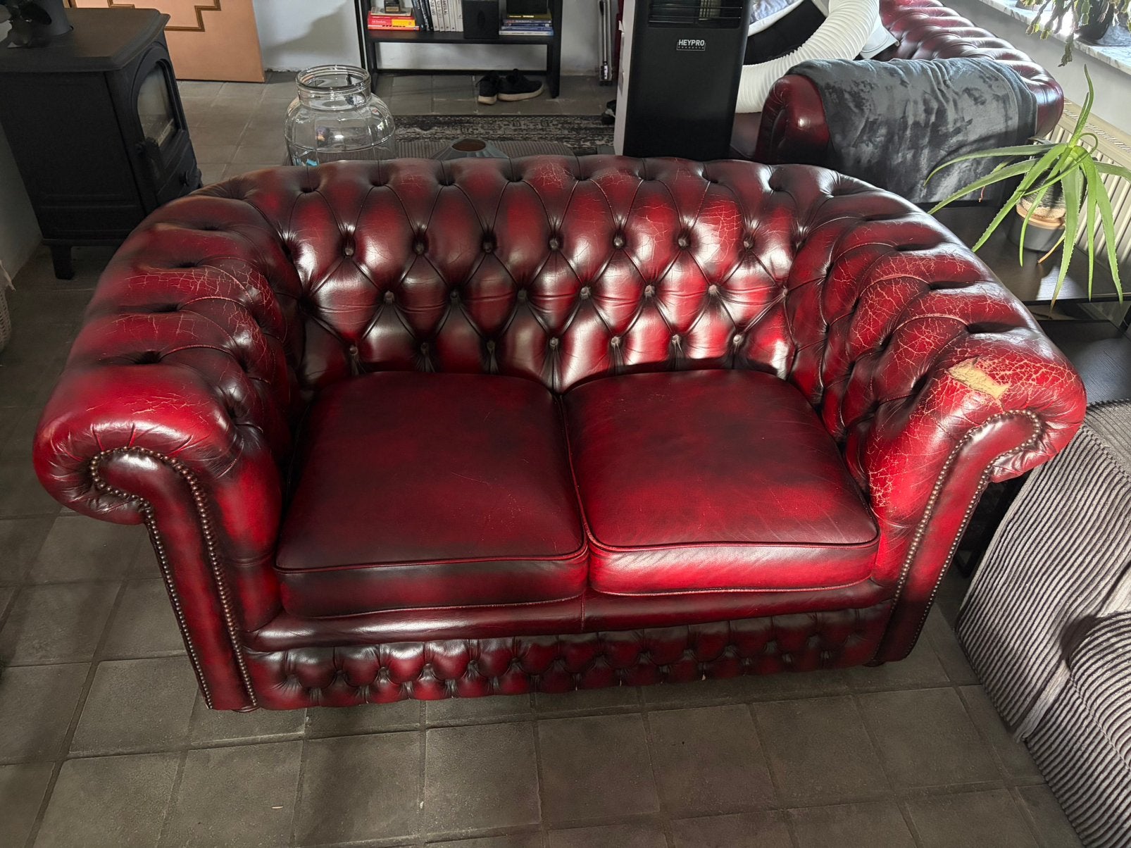 Vintage Chesterfield 2-zitsbank – Springvale – Oxblood, Ophalen, Gebruikt, Leer