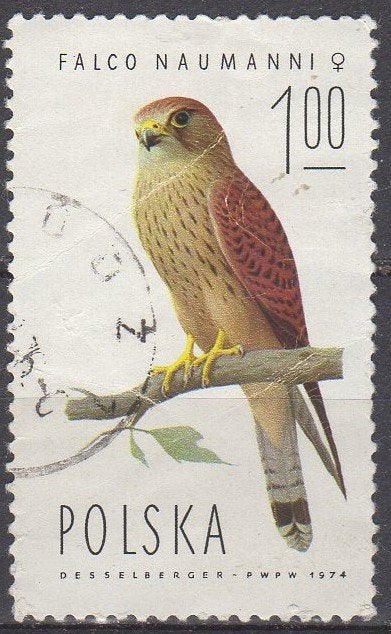 Polen - Kleine torenvalk - 1975, Ophalen of Verzenden, Polen, Gestempeld
