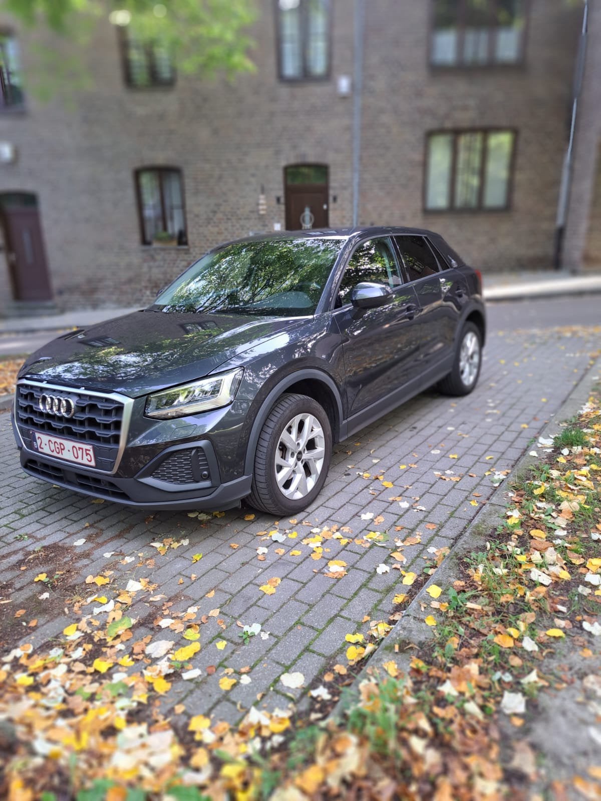 Audi Q2, Auto's, Q2, Particulier, 1000 cc, SUV of Terreinwagen