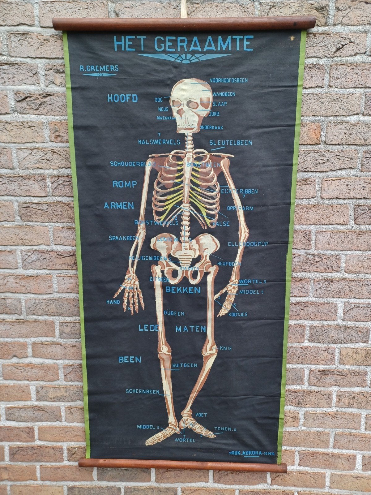 Prachtige Cremers schoolkaart het geraamte, Ophalen of Verzenden