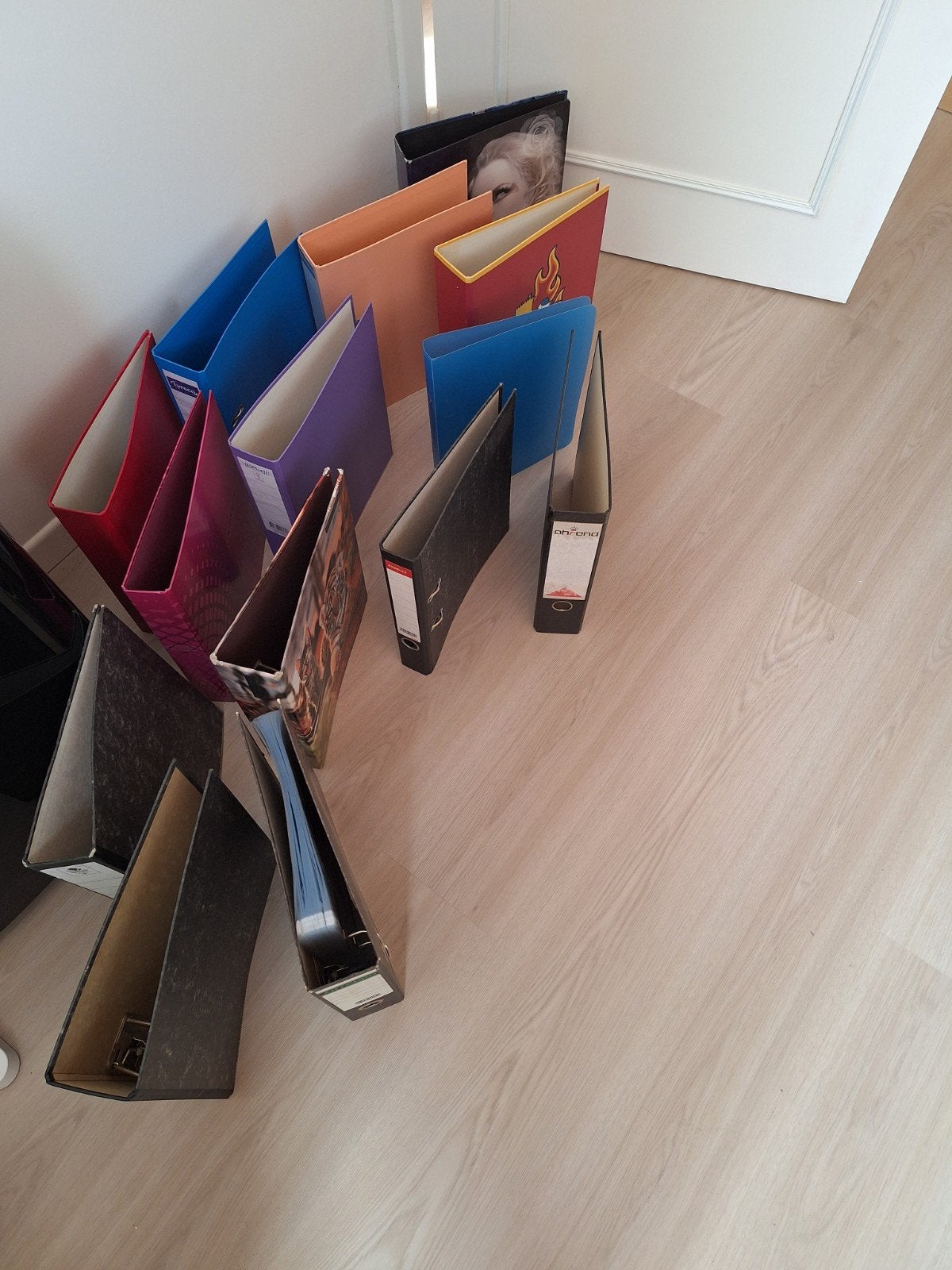 Fourniture scolaire Lot de 14 fardes + chemises en plastique, Divers, Enlèvement