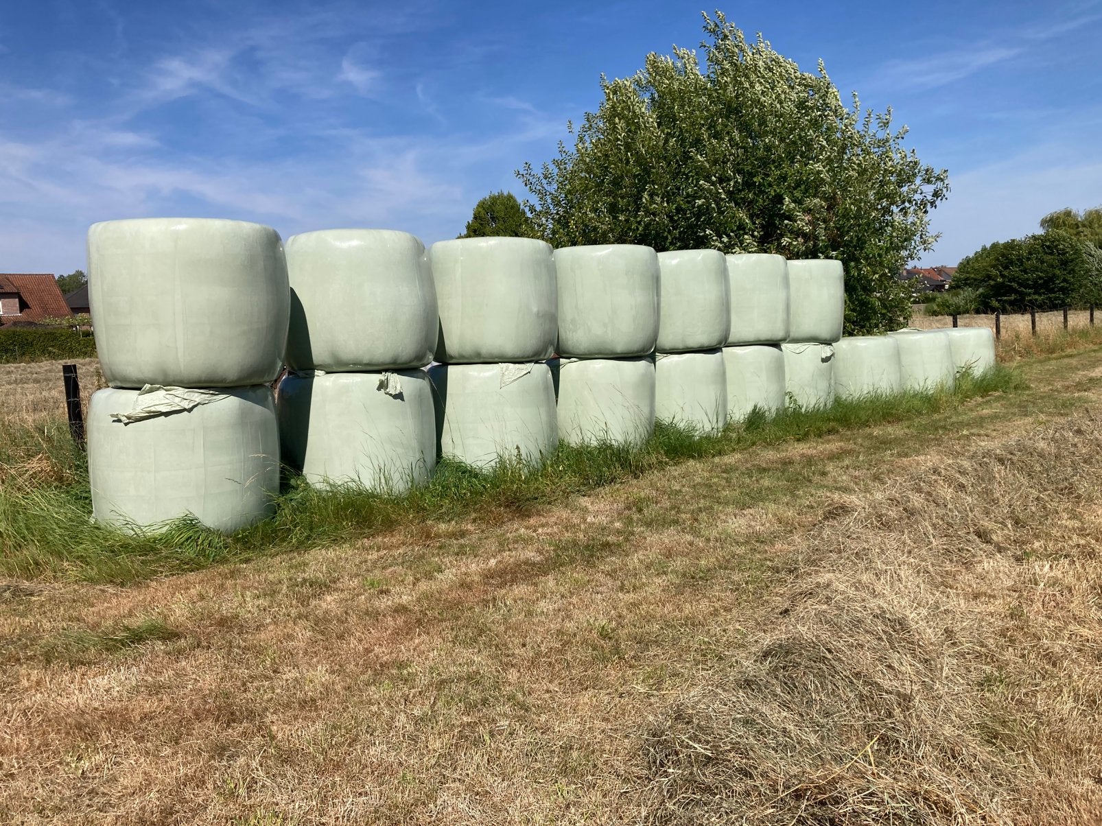 Te koop grote ronde balen voordrooghooi, Ophalen