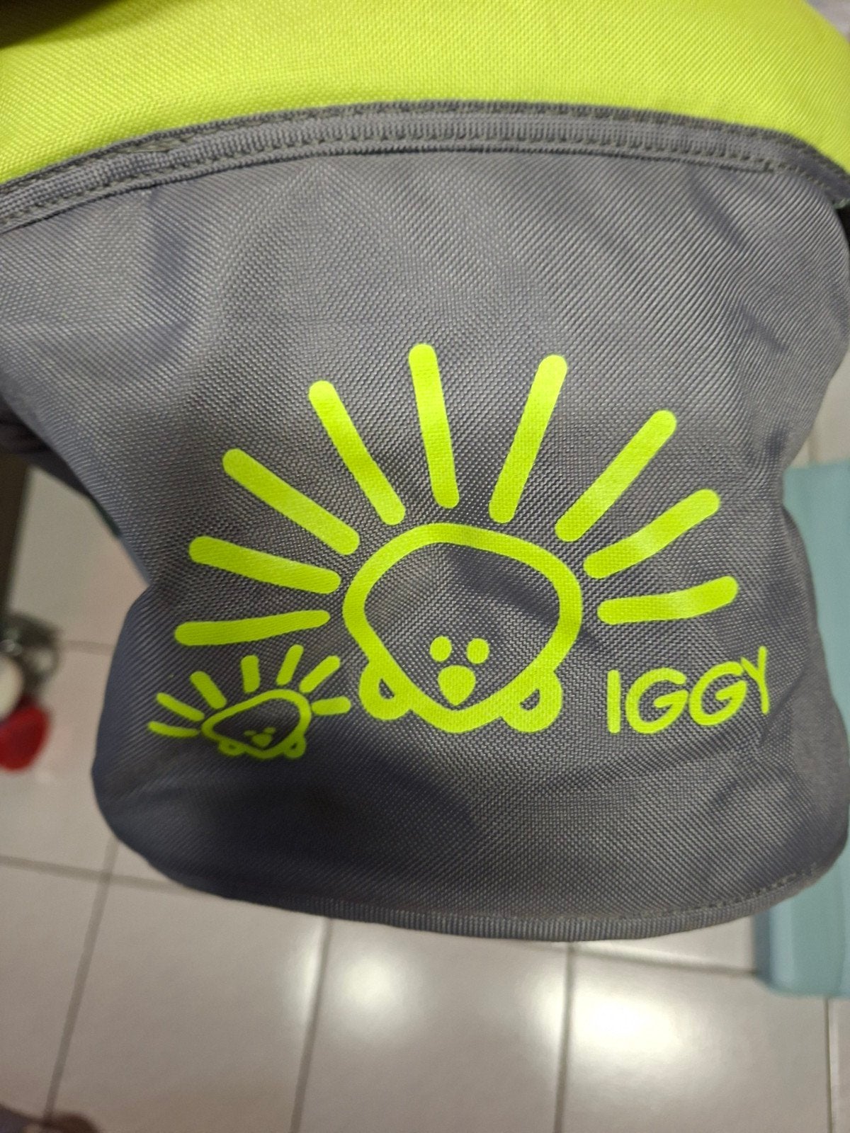 Iggy hangstoeltje, Ophalen, Gebruikt, Hangstoel, Gordel(s)