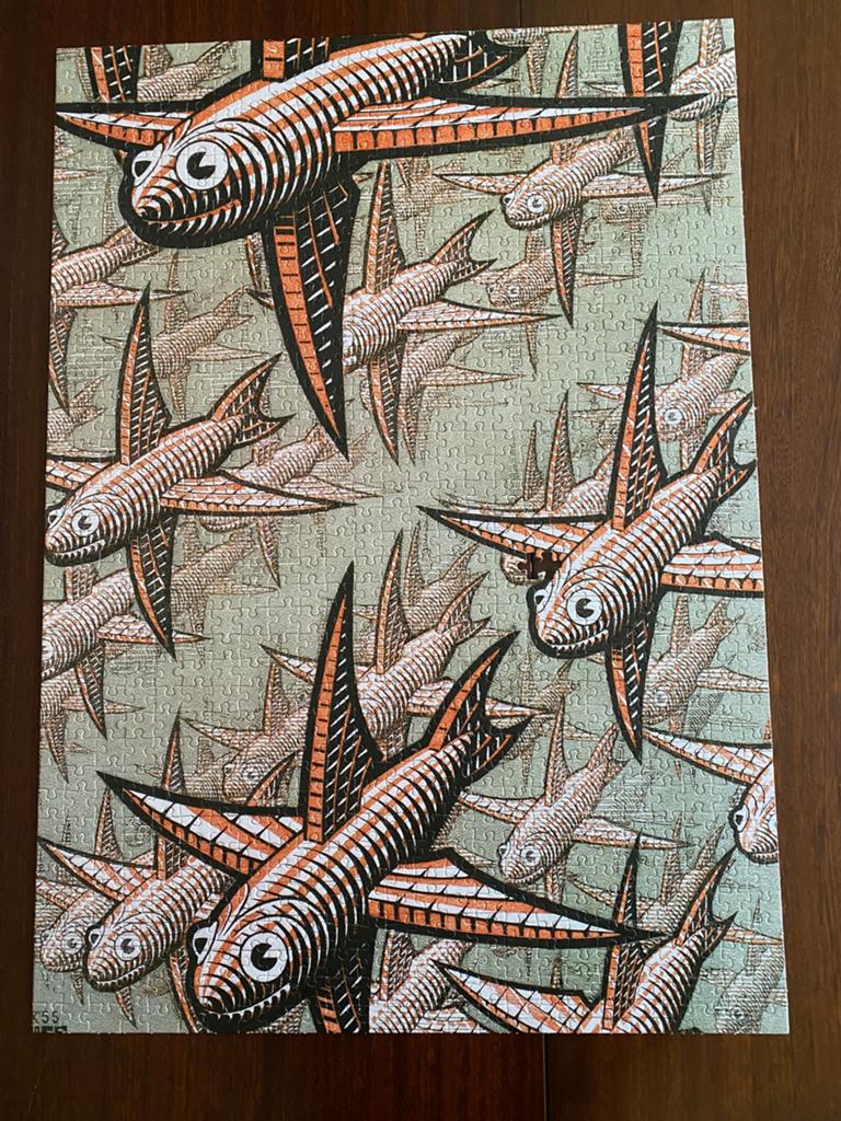 MC ESCHER, Ophalen of Verzenden