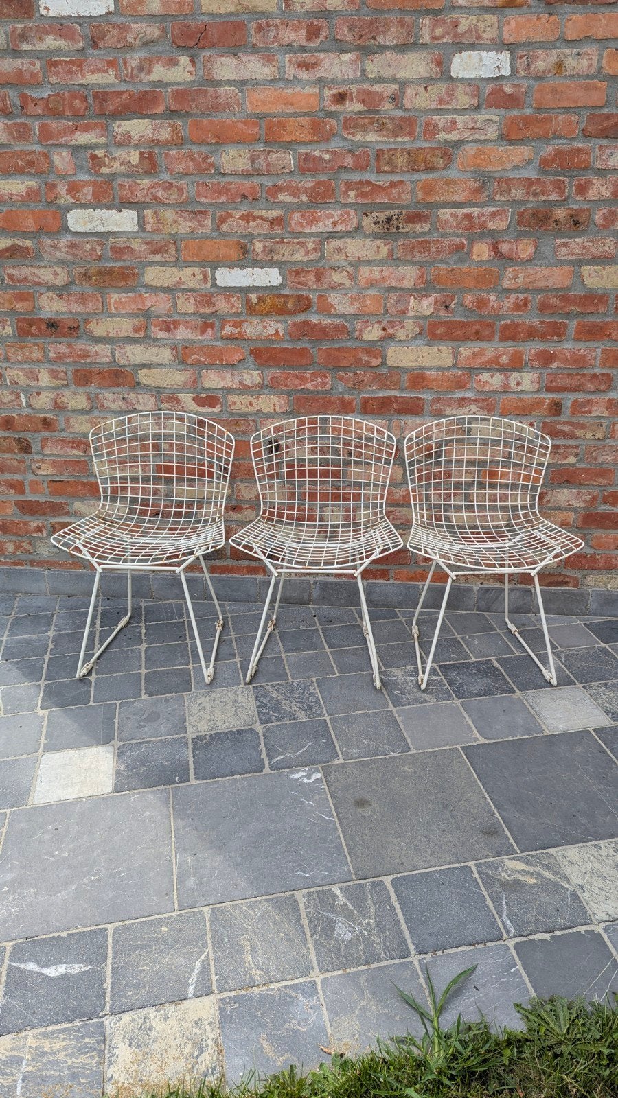 harry bertoia Knoll international Belgium 420, Ophalen, Gebruikt
