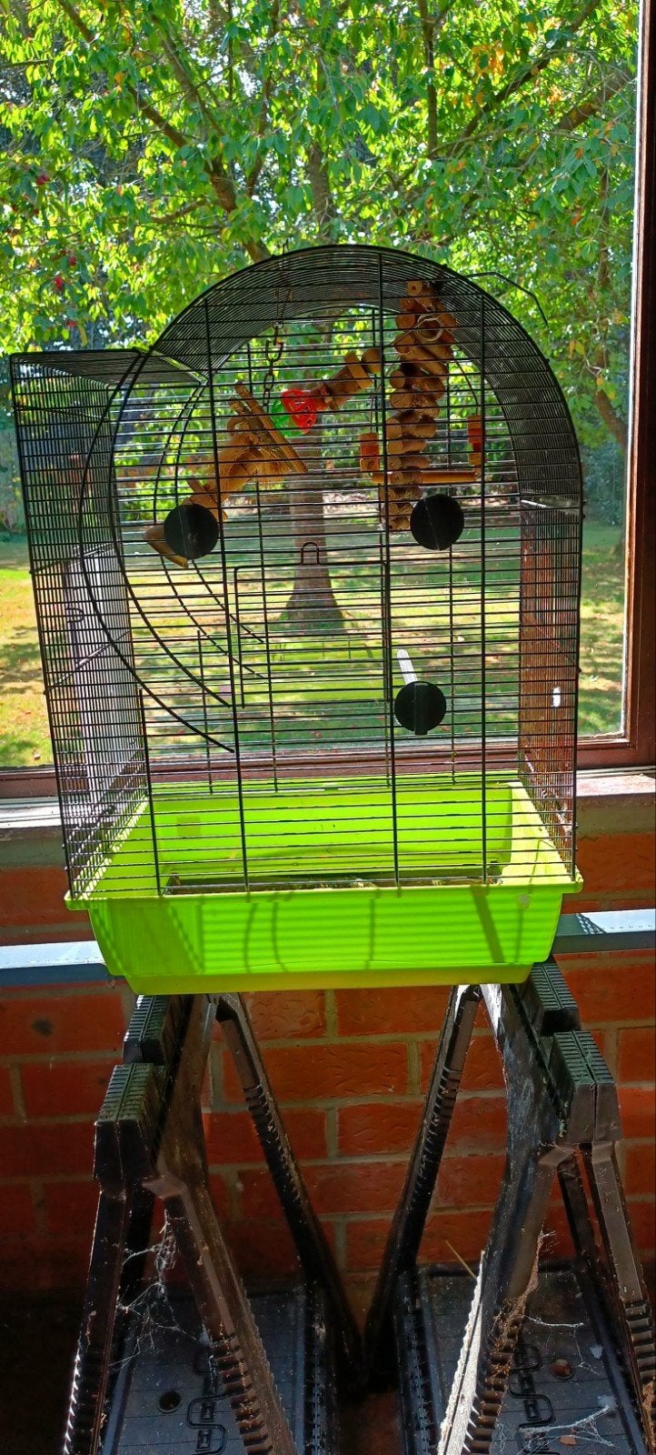 vogel kooien, Ophalen