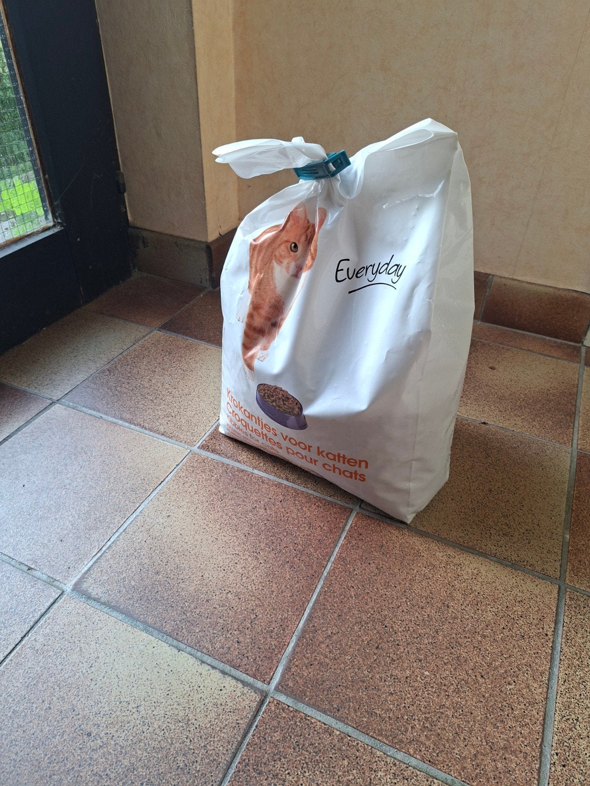 Gratis kattenvoer Everyday, Dieren en Toebehoren, Dierenvoeding, Ophalen, Kat