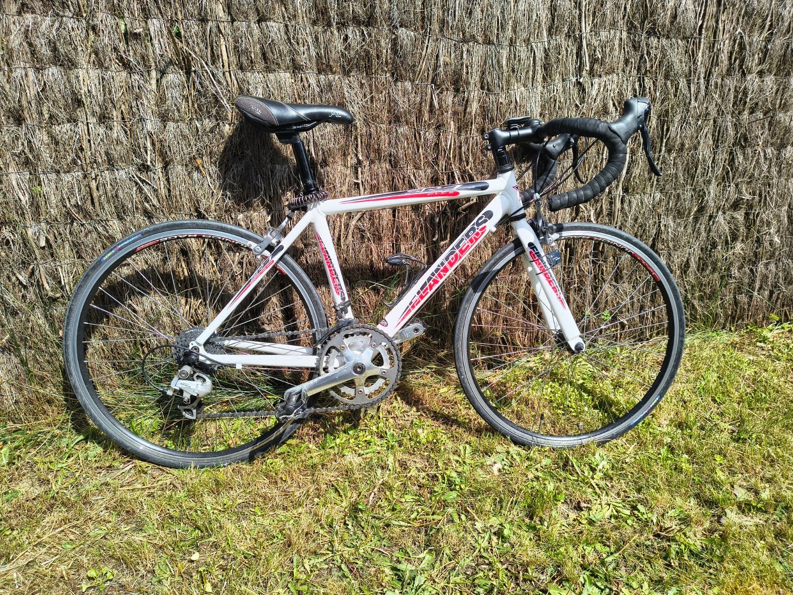 Flanders koersfiets, Enlèvement, 20 pouces