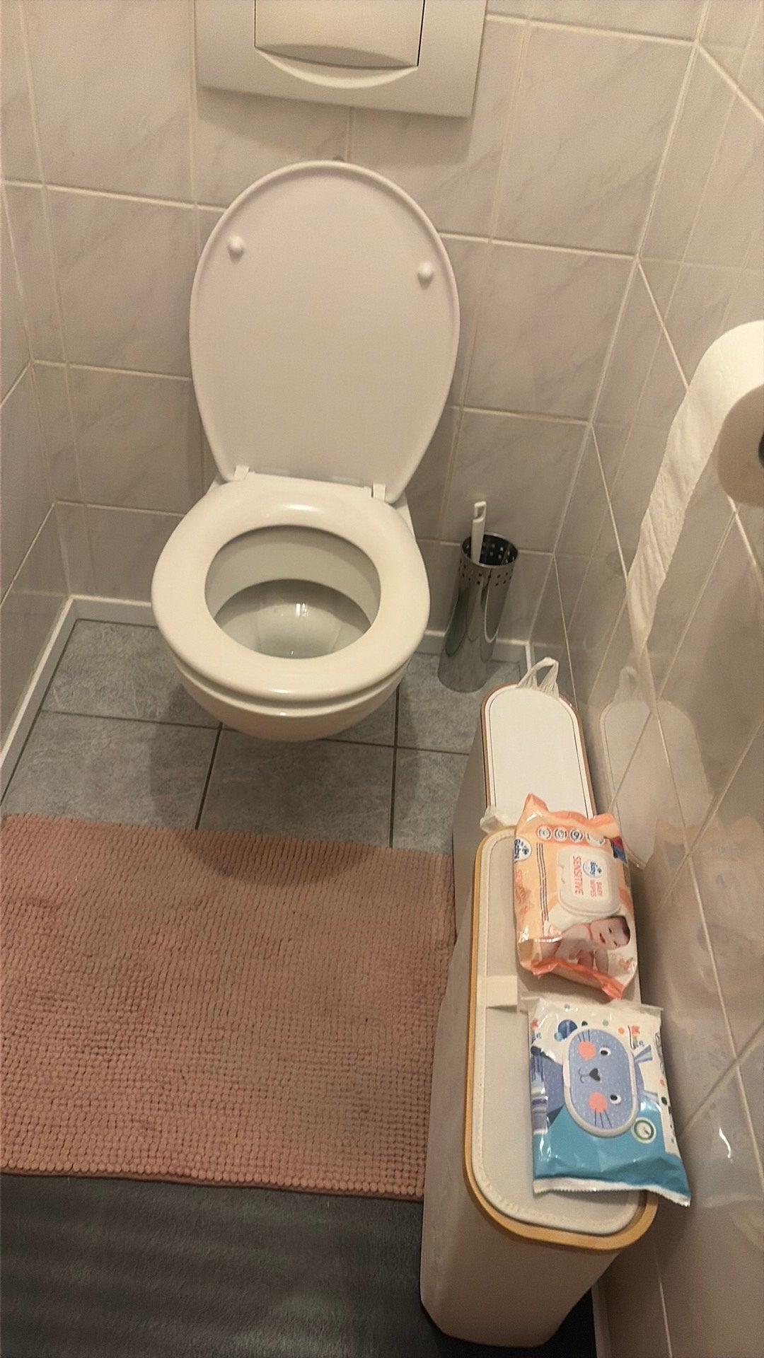 Toilet Gratis Gedemonteerd, Ophalen, Gebruikt