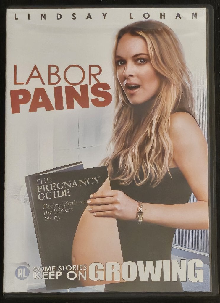 Labor Pains (2009), CD & DVD, DVD | Comédie, Comédie romantique, Enlèvement ou Envoi, Anglais, Néerlandais