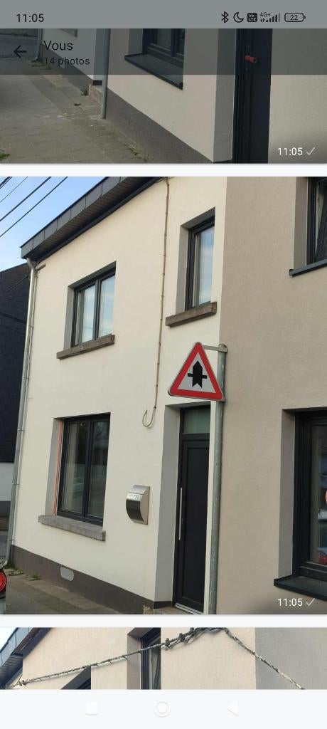 Facade crepis isolation, Enlèvement ou Envoi