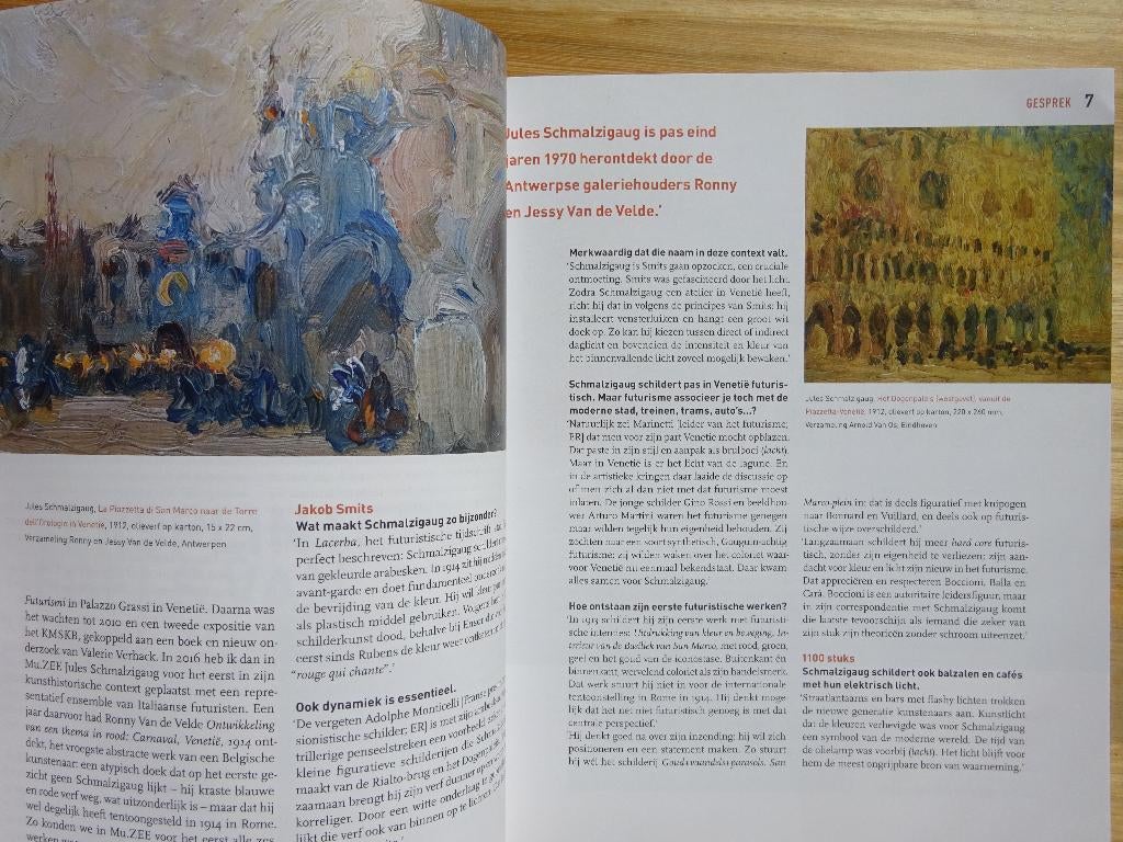 Jules Schmalzigaug in Zaal Z - 2020, Boeken, Kunst en Cultuur | Beeldend, Ophalen of Verzenden, Nieuw, Schilder- en Tekenkunst
