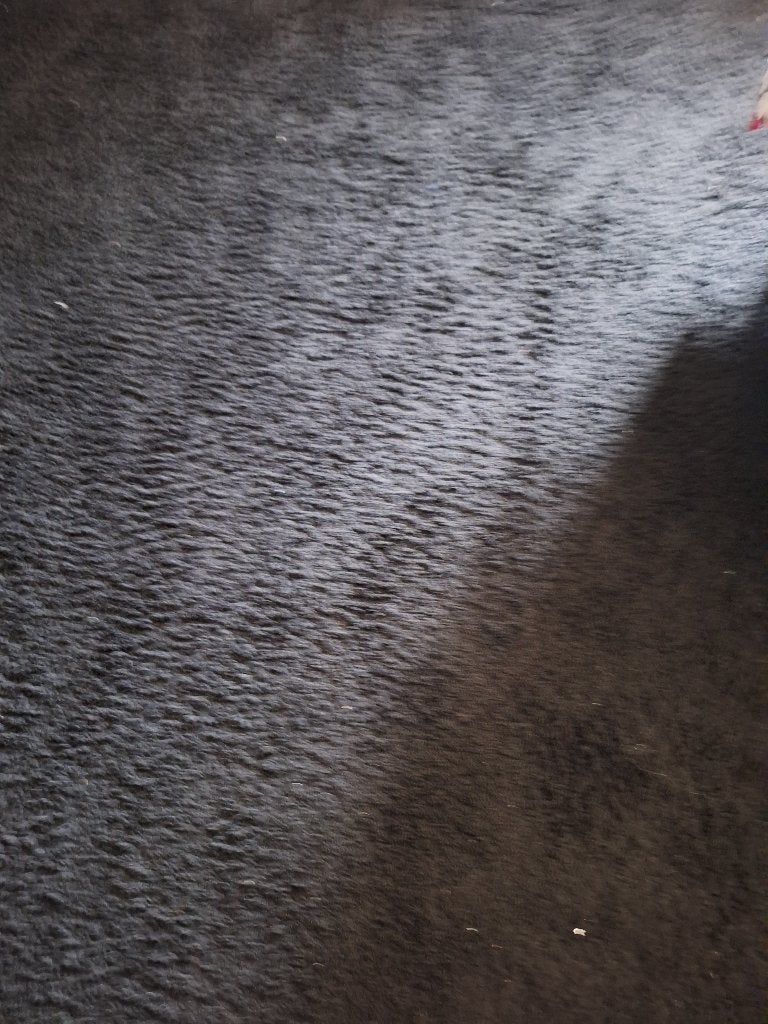 Zwart hoogpolig shaggy tapijt 300x400, Maison & Meubles, Ameublement | Tapis & Moquettes, Enlèvement, Noir