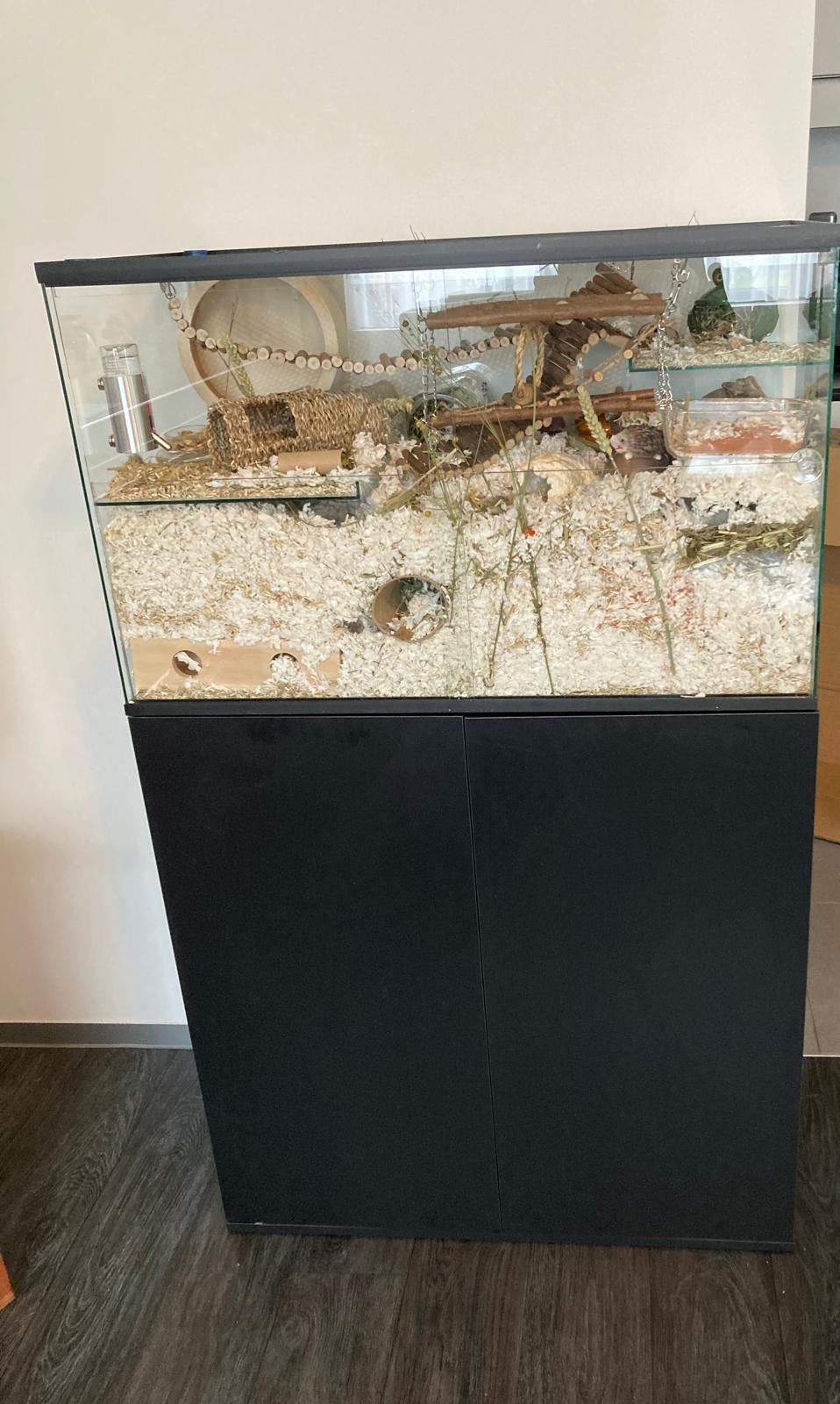 Terrarium (gerbilarium) met kast., Dieren en Toebehoren, Ophalen, Gebruikt
