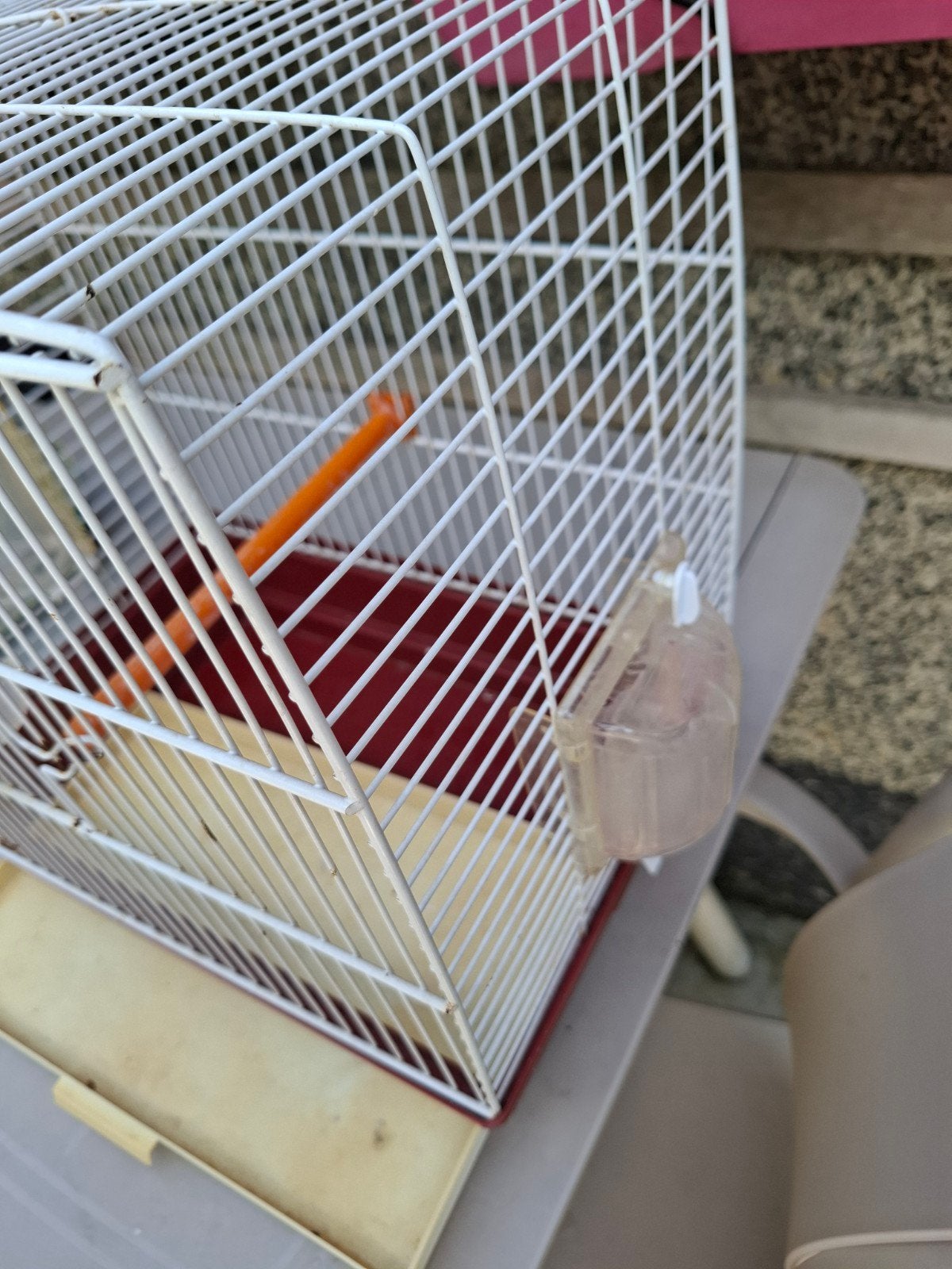 des cage pour oiseaux à vendre
