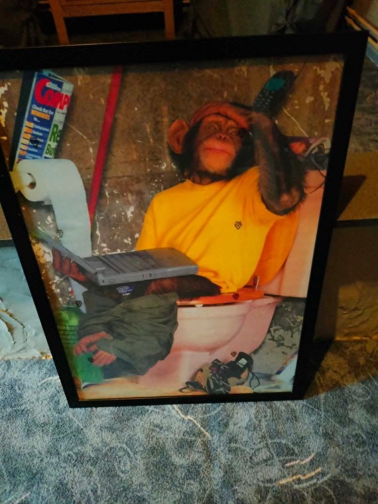 kader + foto, Ophalen, Decoratieobject, 74 cm, Zo goed als nieuw