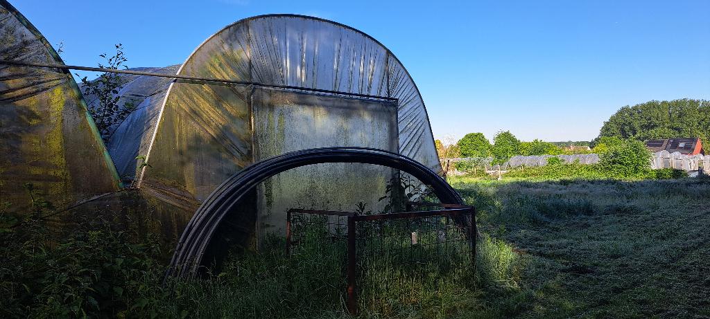 serrebogen van tunnelserre, Ophalen, Gebruikt