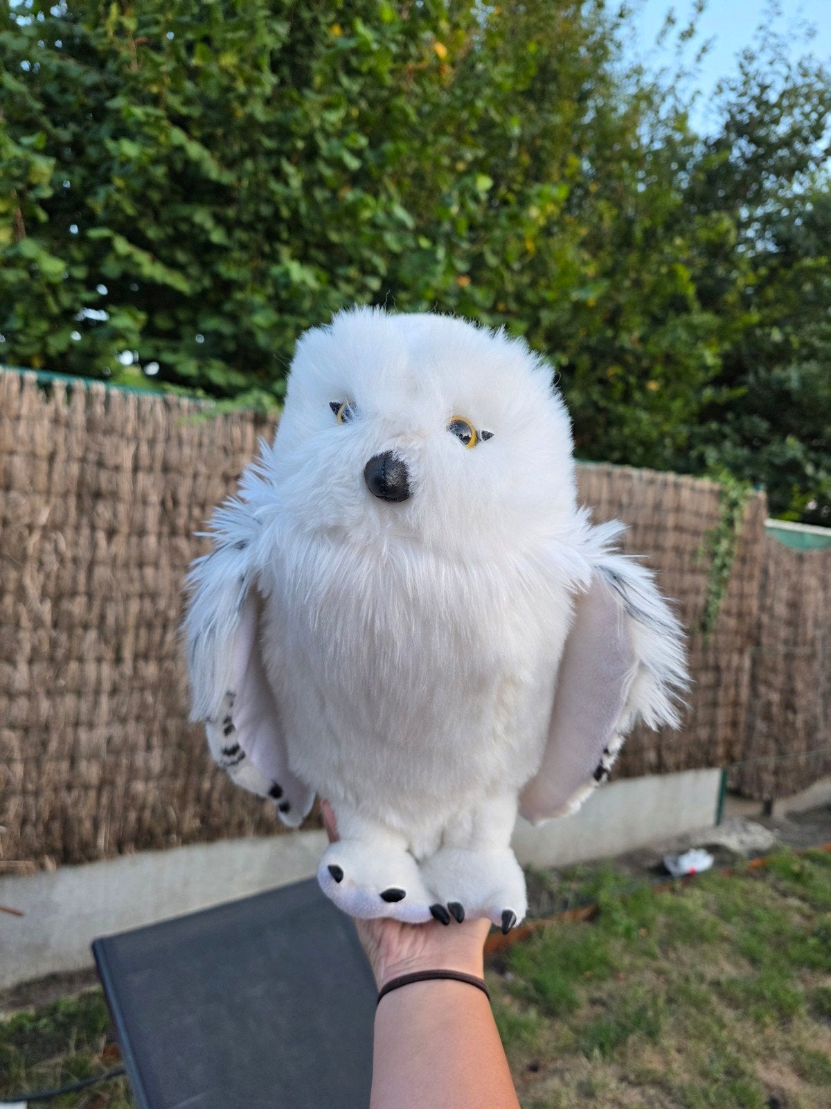 Harry Potter Hibou Hedwige, Collections, Harry Potter, Enlèvement ou Envoi