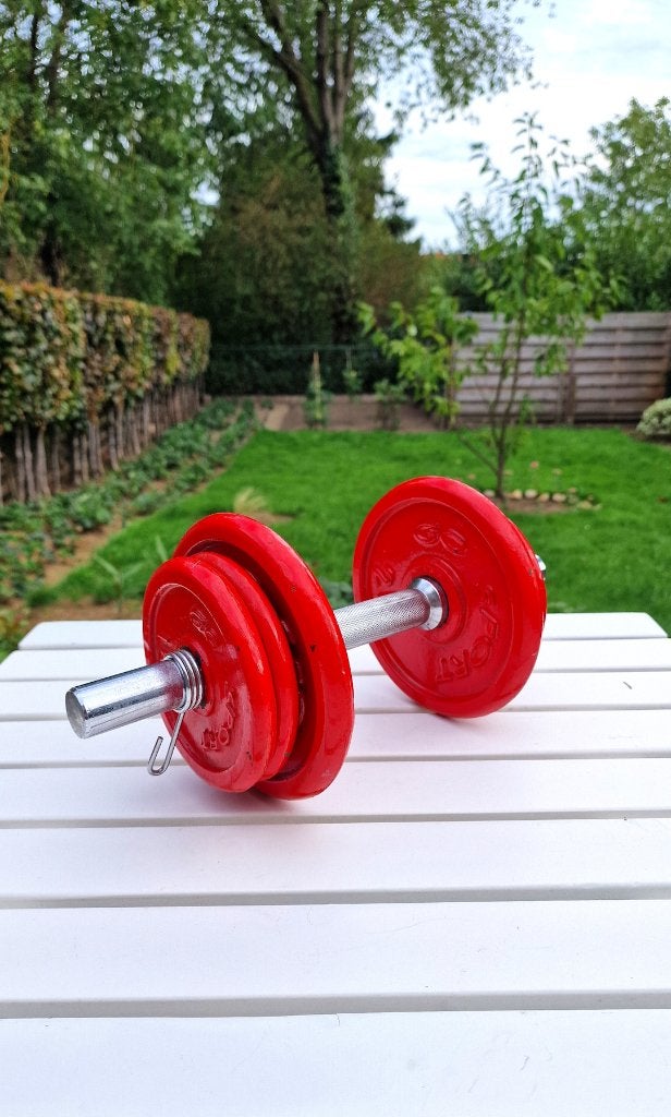 Haltère Réglable en Fonte 10 kg – GO SPORT (Rouge), Enlèvement, Utilisé, Bras, Haltère