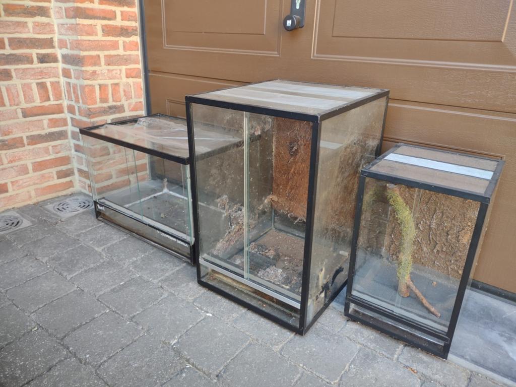 3x terrarium in één koop, Ophalen