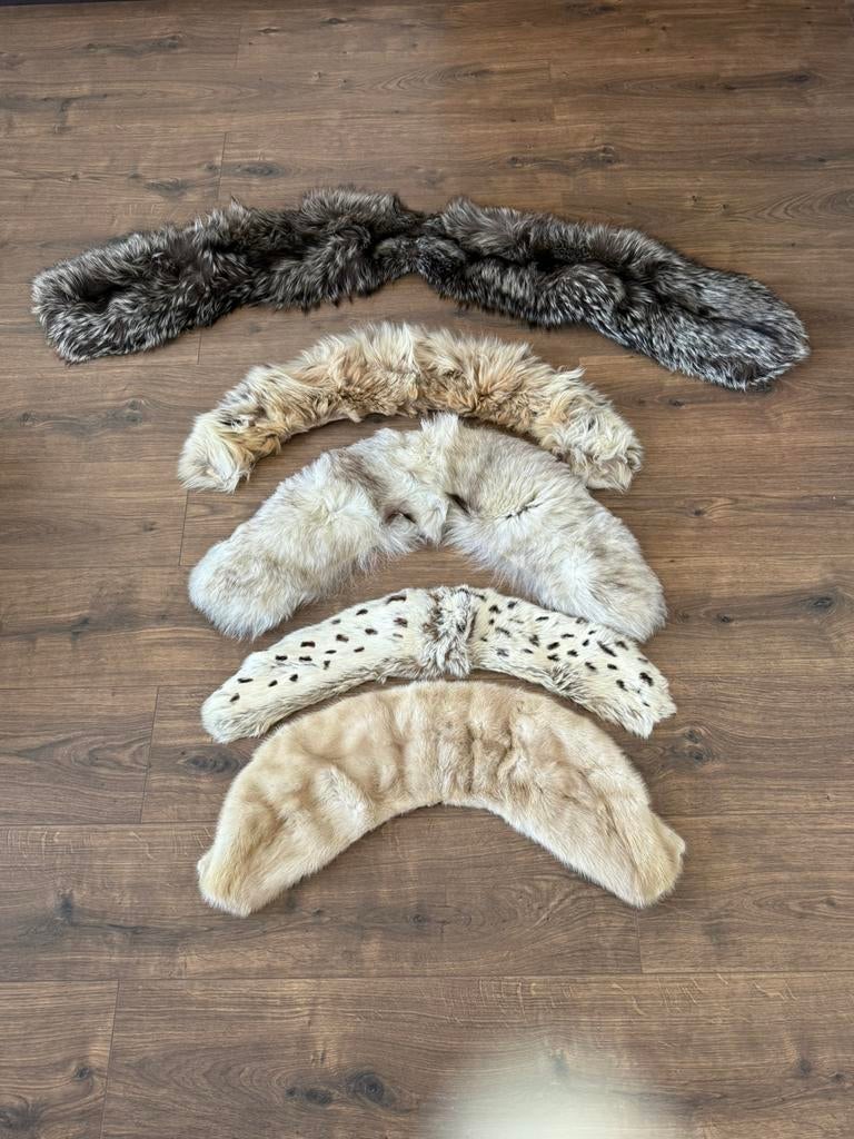 Echarpes fourrure, Ophalen, Dames