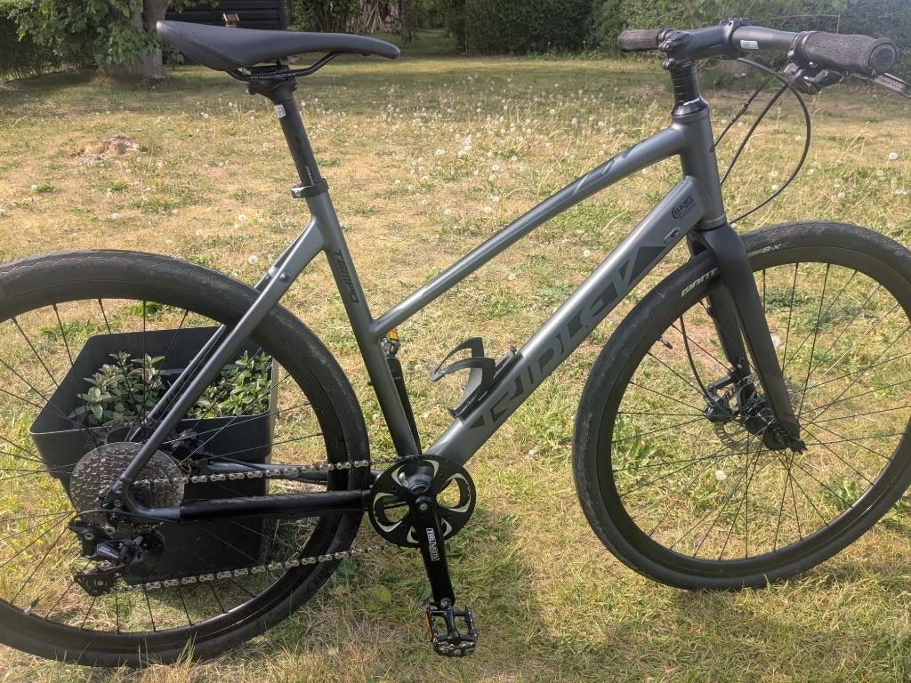 Ridley tempo W sportieve damesfiets, Fietsen en Brommers, 28 inch, 10 tot 15 versnellingen, Zo goed als nieuw, 50 tot 53 cm