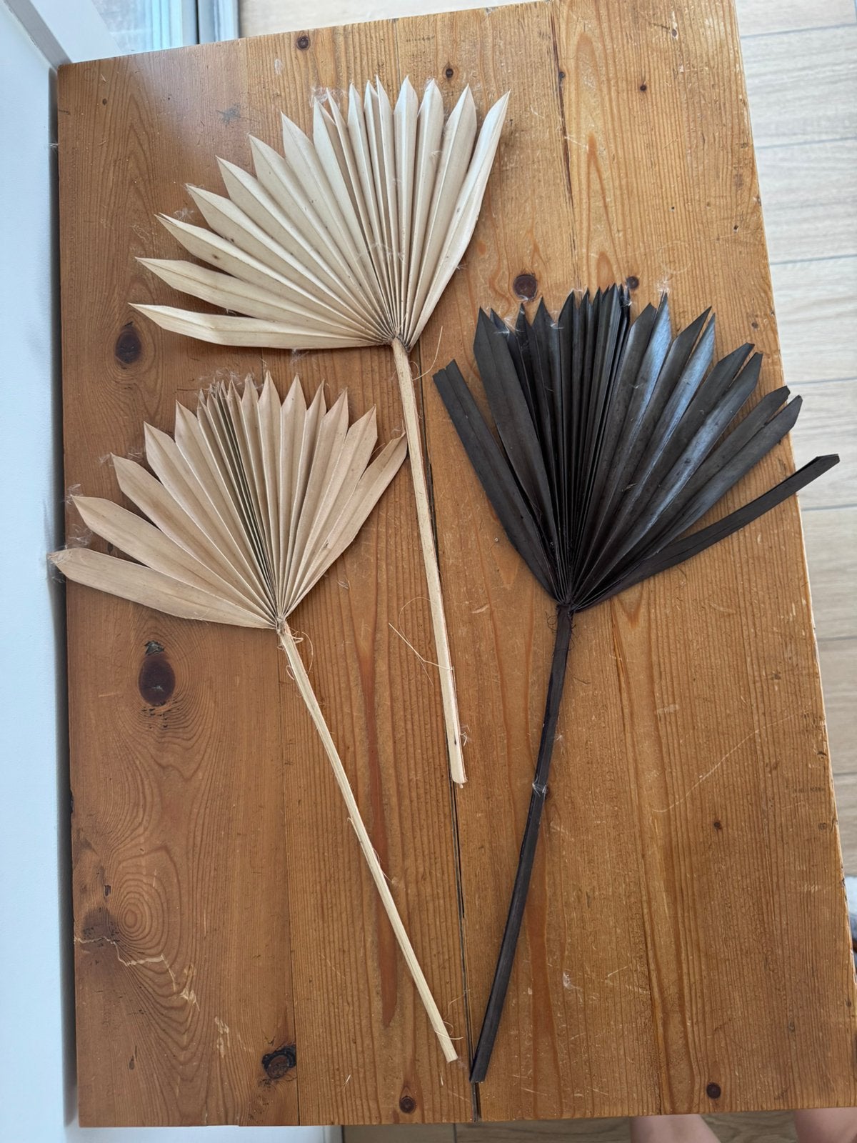 Set van 3 gedroogde palmspear takken | naturel & zwart, Ophalen of Verzenden, Zo goed als nieuw, Beige