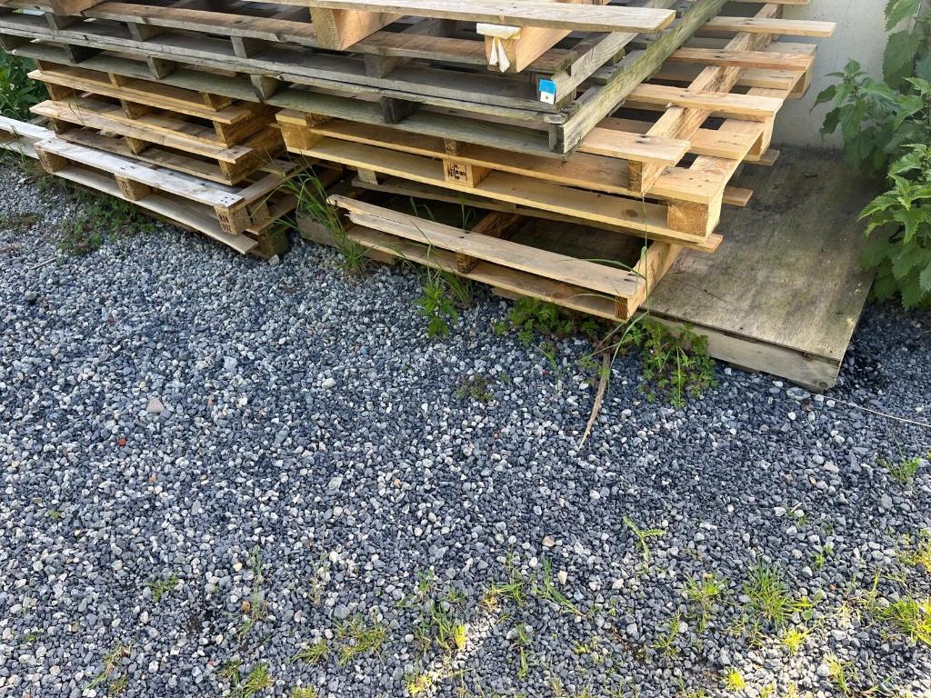 gratis paletten, Doe-het-zelf en Bouw, Hout en Planken, Ophalen, Gebruikt, 50 mm of meer, Pallet