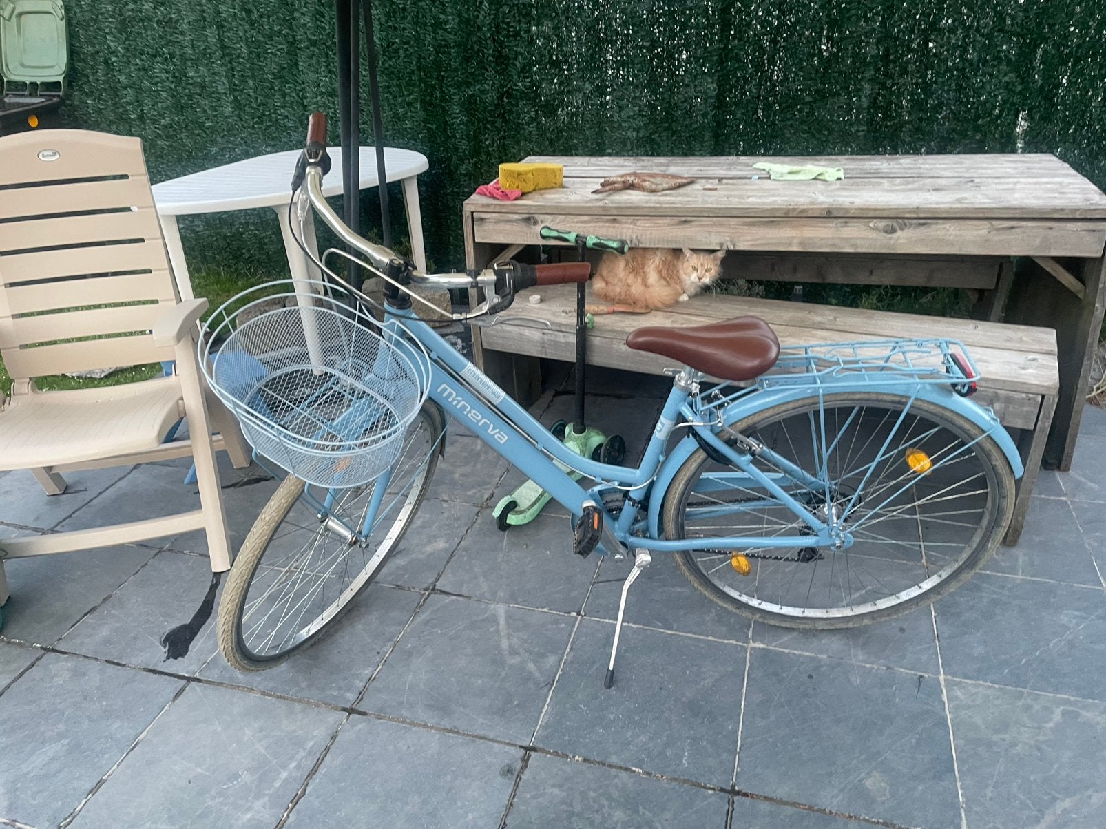 Damesfiets met mandje, Ophalen, Zo goed als nieuw