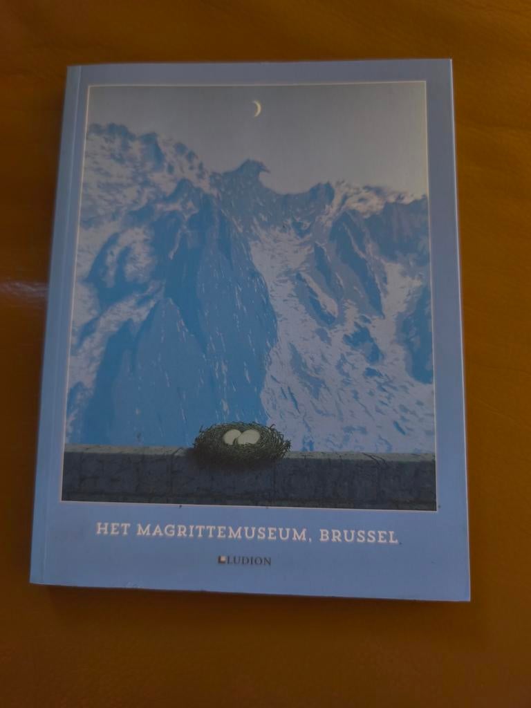 Julie Waseige - Musée Magritte, Bruxelles, Enlèvement ou Envoi, Comme neuf, Julie Waseige