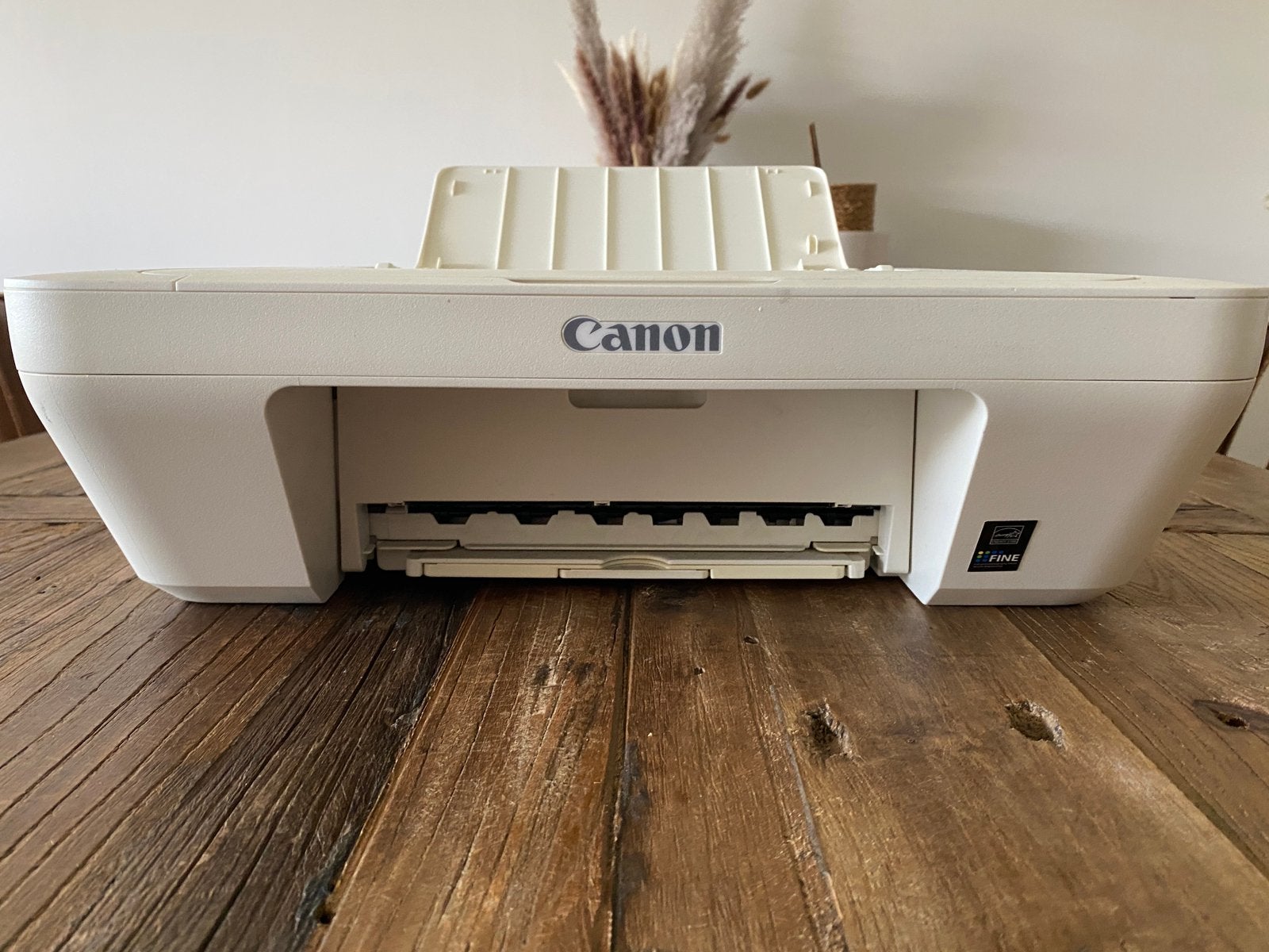 Canon Pixma, Computers en Software, Printers, Ophalen, Kleur printen, Gebruikt, Printer