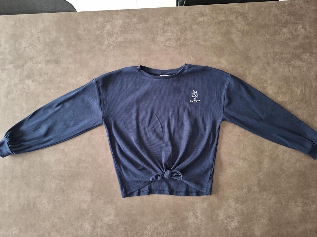 Truitje jbc maat 164, Kinderen en Baby's, Kinderkleding | Maat 164, Meisje, Trui of Vest, JBC, Ophalen of Verzenden