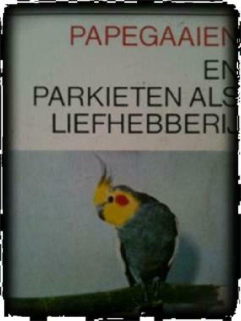 Papegaaien en parkieten als liefhebberij, Ophalen of Verzenden, Gelezen, Vogels