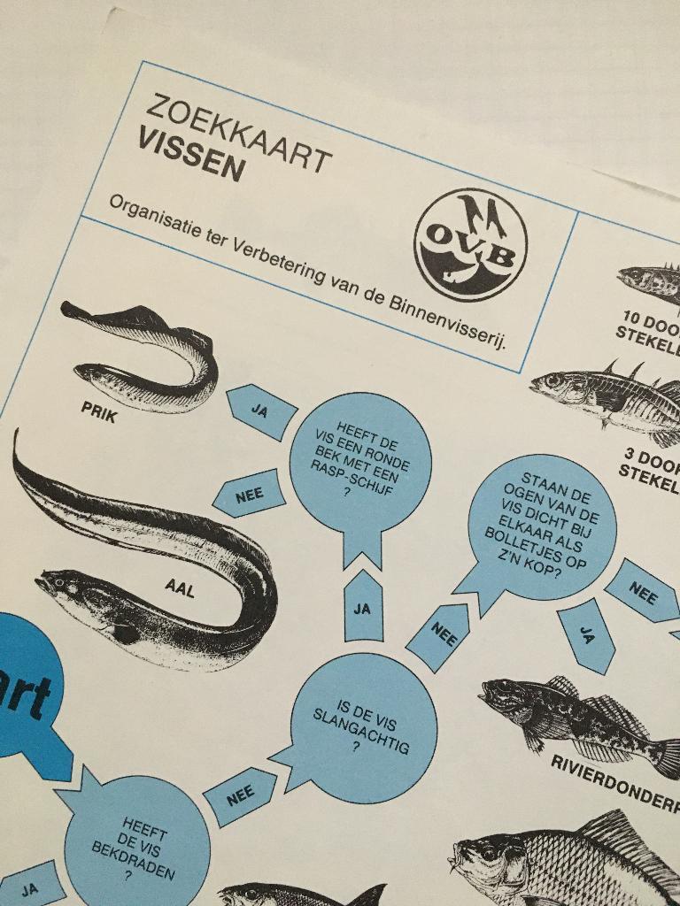 Zoekkaart. Vissen, Ophalen of Verzenden