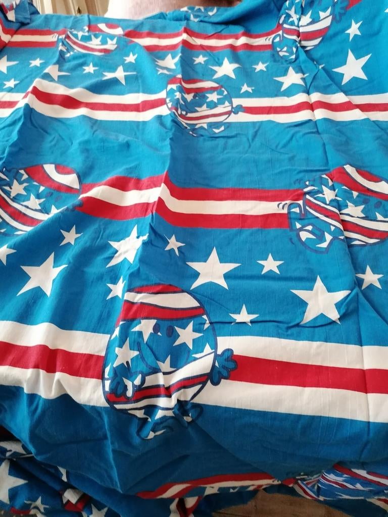 Donsovertrek voor 1 persoons bed  voor jongens, Kinderen en Baby's, Ophalen, Gebruikt, Blauw, Dekbedovertrek